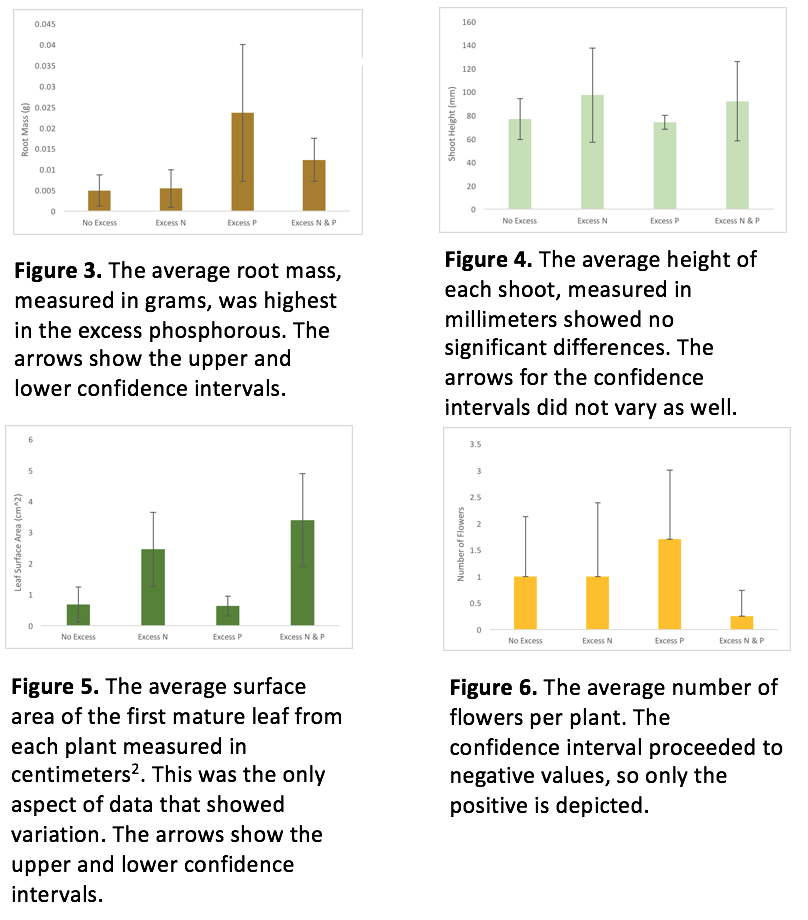 Brassica rapa lab report