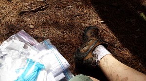 Muddy shoes and clean samples & surveys after hiking into the wilderness to collect saliva from study participants.