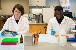 Dr. Franssen and Ri'Shawn Bassette ('17) prepping salivary samples during PRISM 2015.