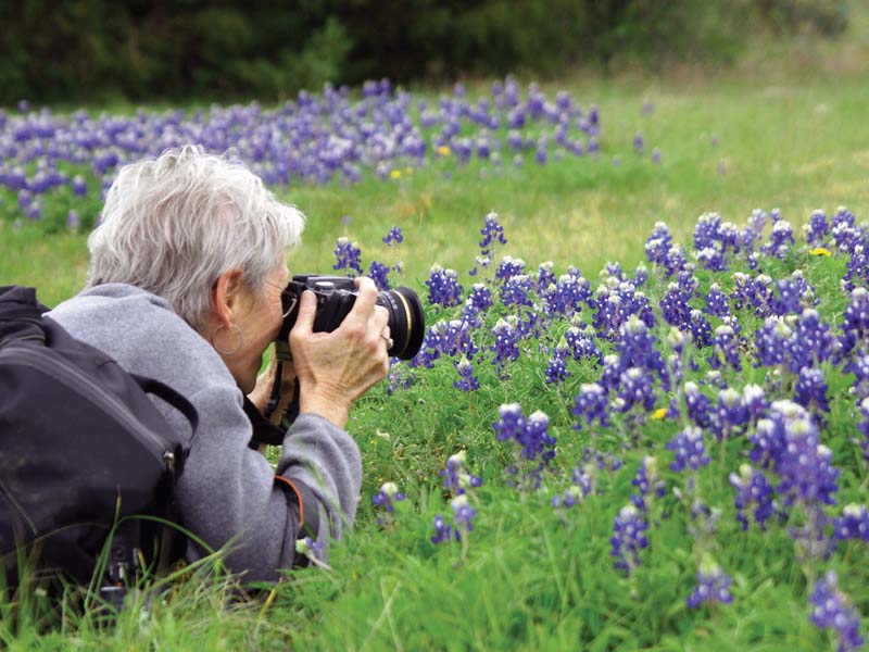 Dr. Cynthia Nunnally Wood ’68 finds, photographs, documents and maps wildflowers.