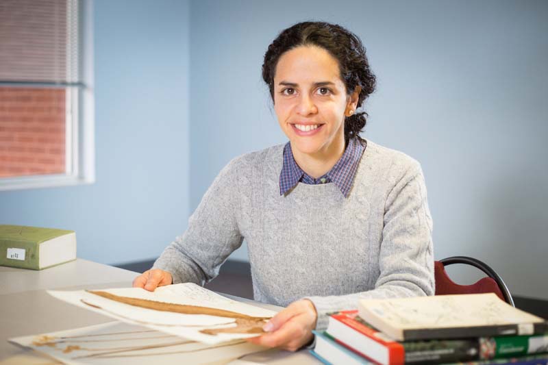 Erika Gonzalez-Akre, the curator of Longwood’s Harvill-Stevens Herbarium, deserves much of the credit for bringing the riches of the collection to light and making it more accessible to researchers. 