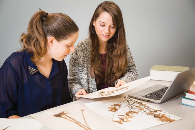 A National Science Foundation grant is funding the work of Patricia Hale ’15 (left), of Bedford, and Sarah Slayman ’15, of Mechanicsville, as they digitize the world’s largest collection of native Virginia plants, currently housed in the basement of Longwood’s Greenwood Library.