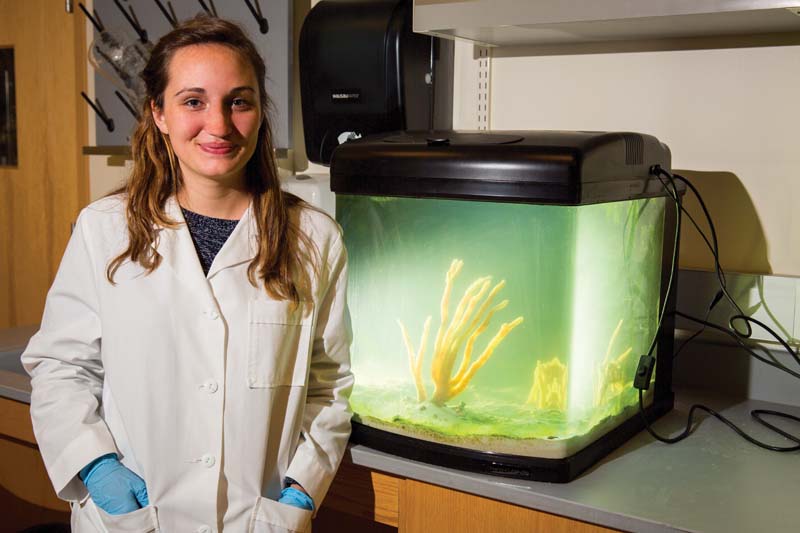 Savannah Barnett ’15 has been intrigued by the process of extracting anti-cancer compounds  from marine sponges since she came across in the topic in a high-school biology class.