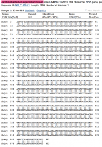 Janthinobacterium agaricidamnosum BLAST