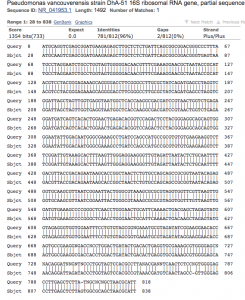 Pseudomonas Van alignment