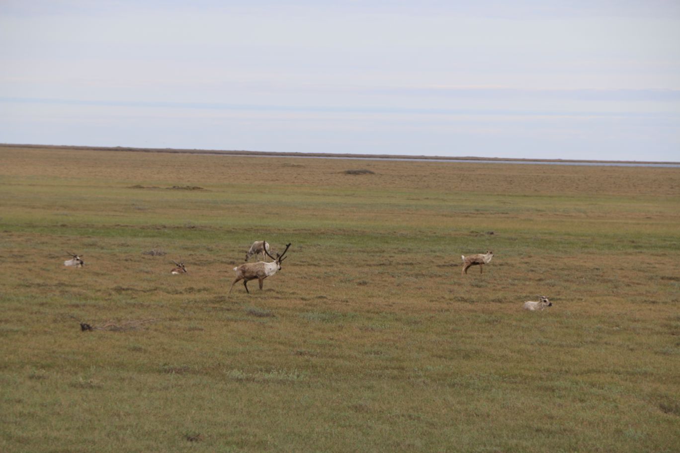 » Dalton Highway Longwood University @ the Arctic Circle