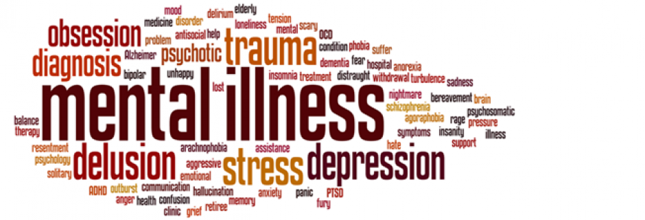 Mental Illness And Family Stress